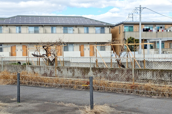 seiryutei