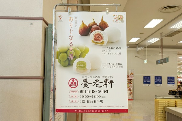 PXL_20230915_071525181-01