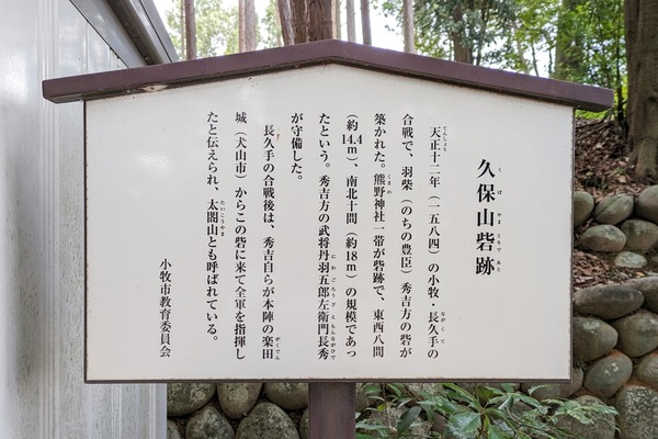 PXL_20230816_073138897-01