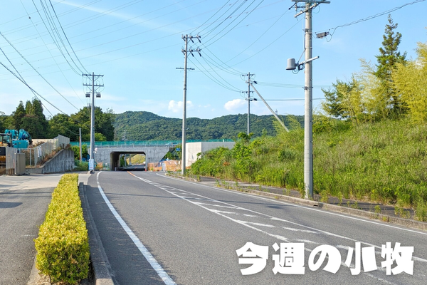 今週の小牧_20240616_235033_0000