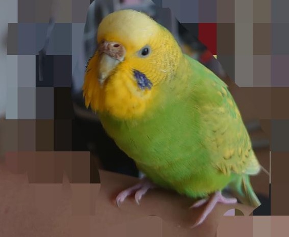 IMG_20210822_181841_463-01