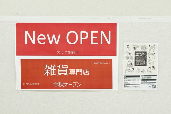 PXL_20230804_055406638-01