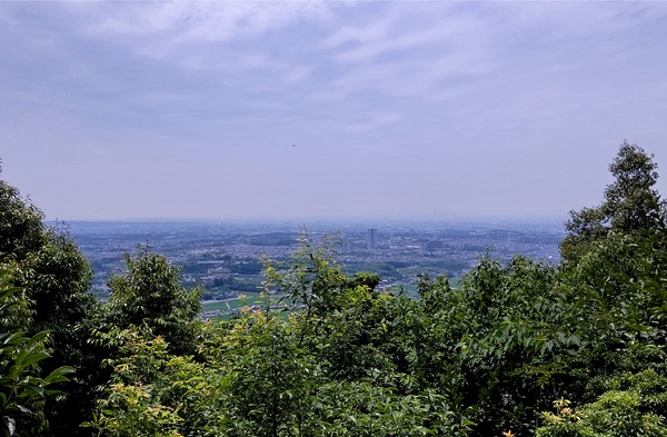 DSC_1404-01