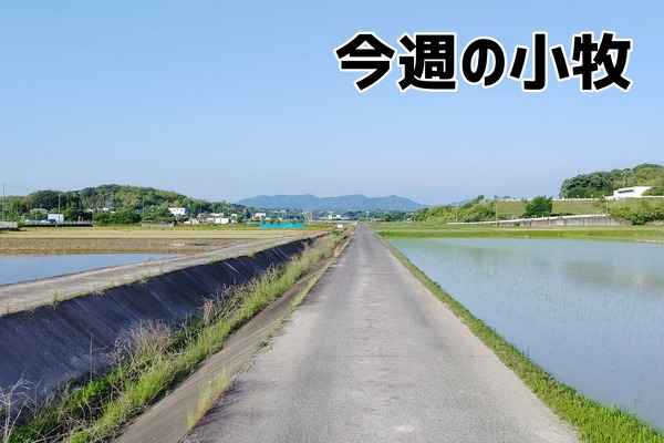 2023_0528_0058_23431