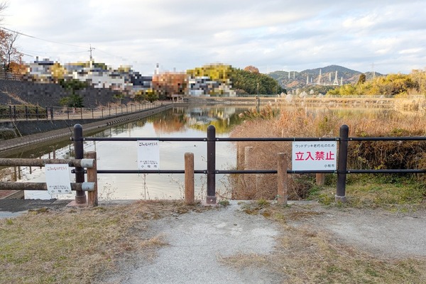 鷹ヶ池のウッドデッキ園路が無くなってる（小牧市野口）