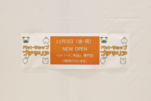 PXL_20230919_072319325-01