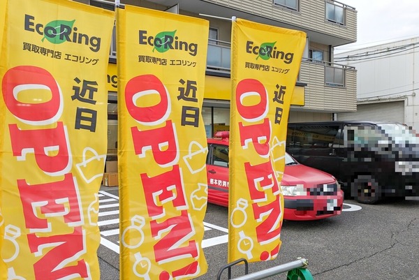 ecoring1