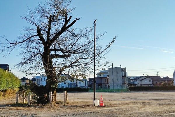DSC_9396-01