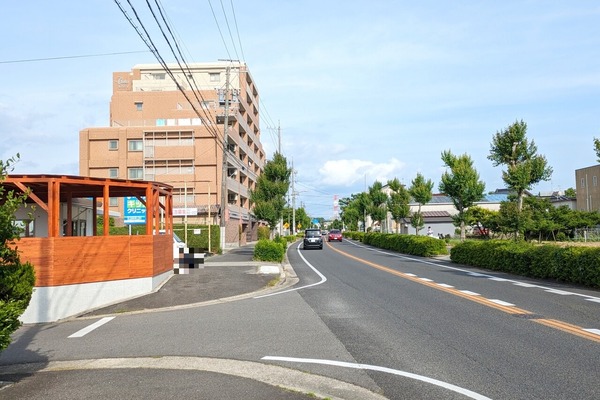 lisanatochi1