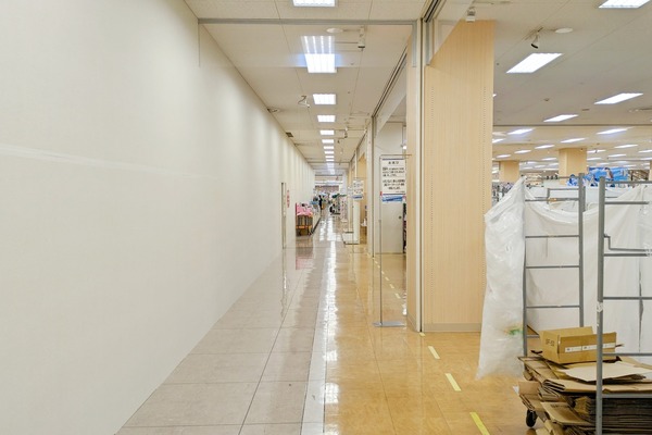 PXL_20230801_083410597-01