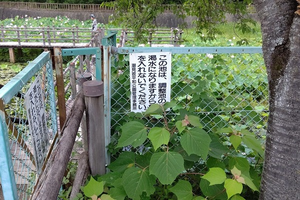 hasuike