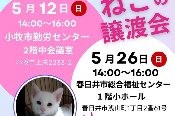 『猫の譲渡会』が5/12(日)14:00～16:00で開催。会場は小牧勤労センター（小牧市上末）