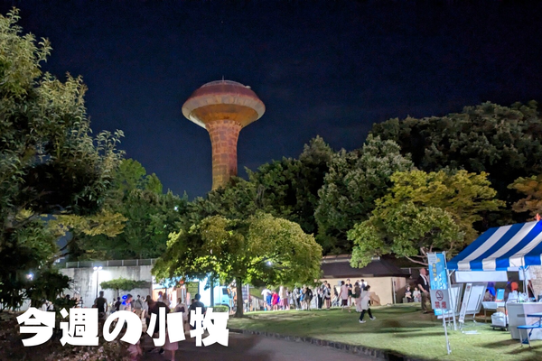 今週の小牧_20240728_233559_0000