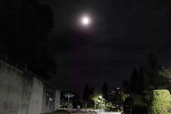 IMG_20230831_214114-01