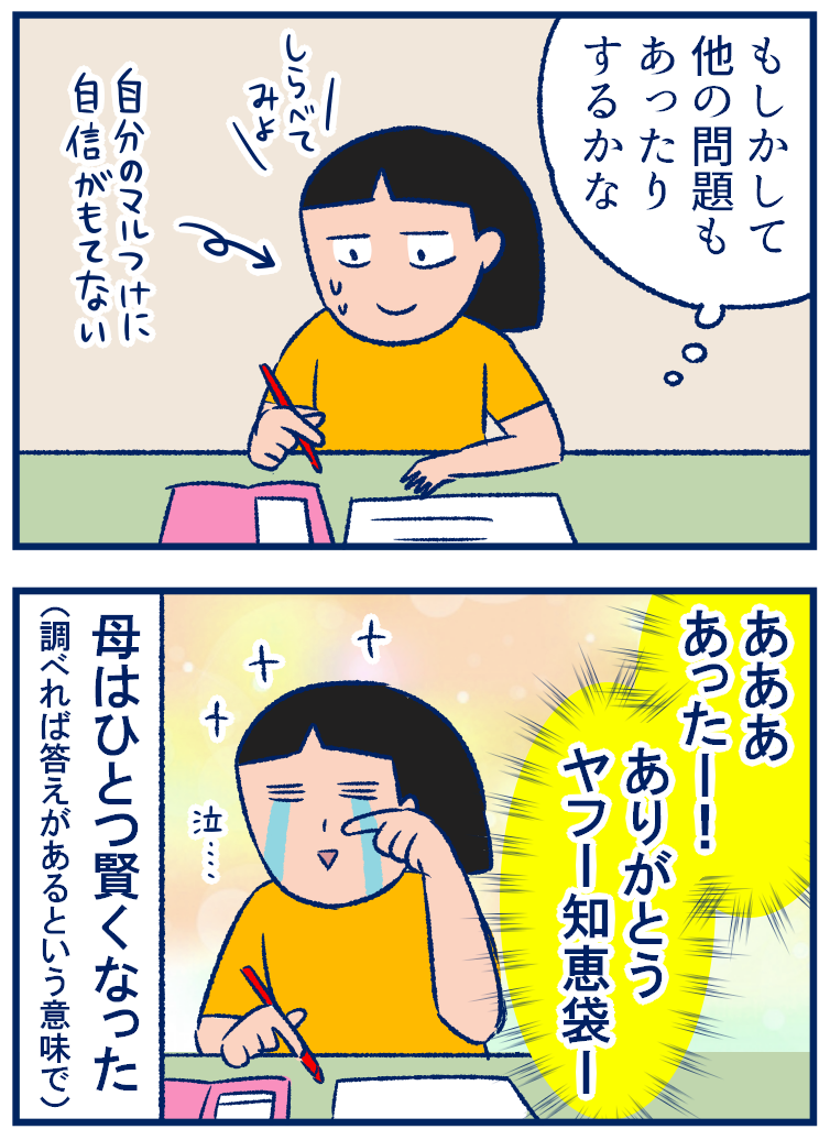 算数のわからない問題にぶちあたったとき頼りになる知恵袋 : 双子を 