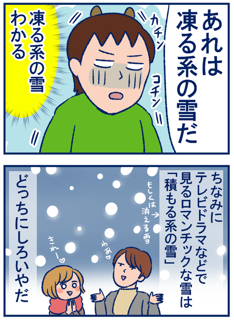 雪の種類02