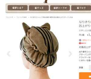 猫キャプチャ