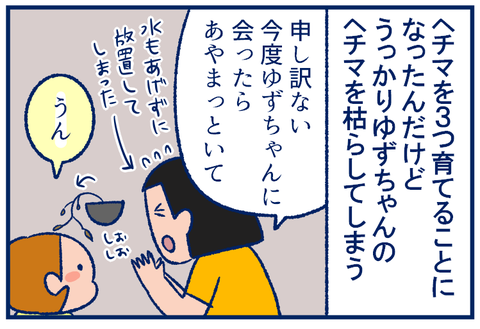 どうしてもhechima ヘチマ を育ててほしいお友だち 双子を授かっちゃいましたヨ Powered By ライブドアブログ