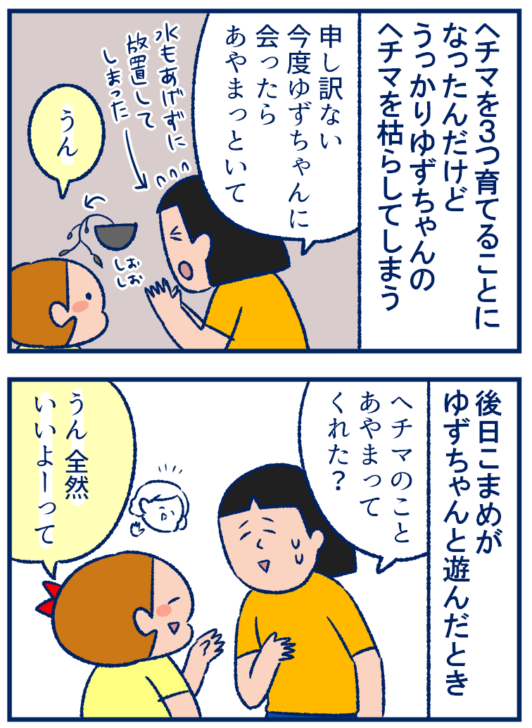 どうしてもhechima ヘチマ を育ててほしいお友だち 双子を授かっちゃいましたヨ Powered By ライブドアブログ