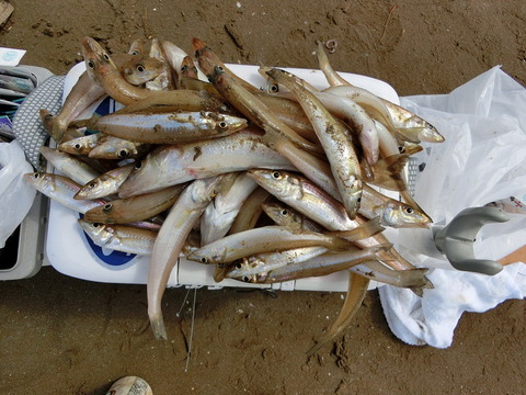 CIMG3071_¥µ¥¤¥ºÊѹ¹