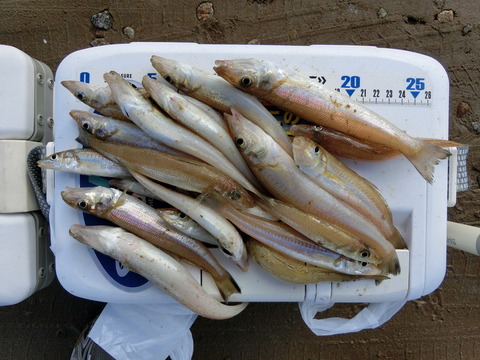 CIMG3092_¥µ¥¤¥ºÊѹ¹