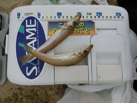 CIMG3033_¥µ¥¤¥ºÊѹ¹