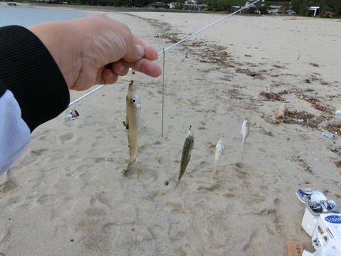 CIMG3102_¥µ¥¤¥ºÊѹ¹