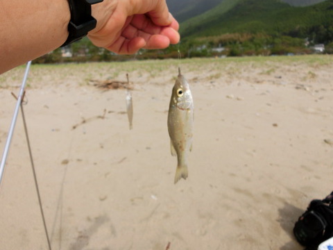 CIMG3020_¥µ¥¤¥ºÊѹ¹