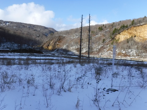 DSCF5811