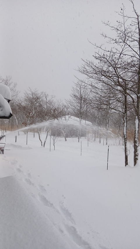 大雪、雷、着雪注意報が出ています
