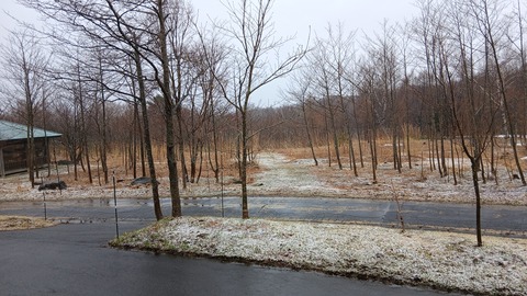 昨日は一時雪が降りましたが、今朝は雨が…