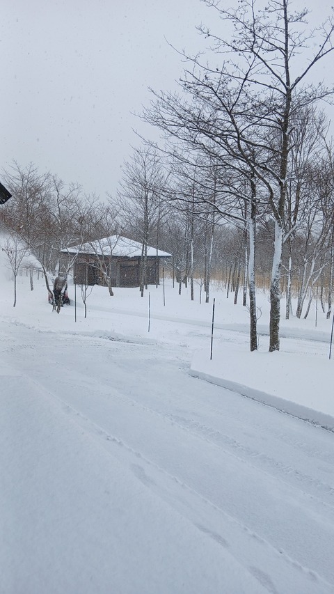 連日、除雪しています