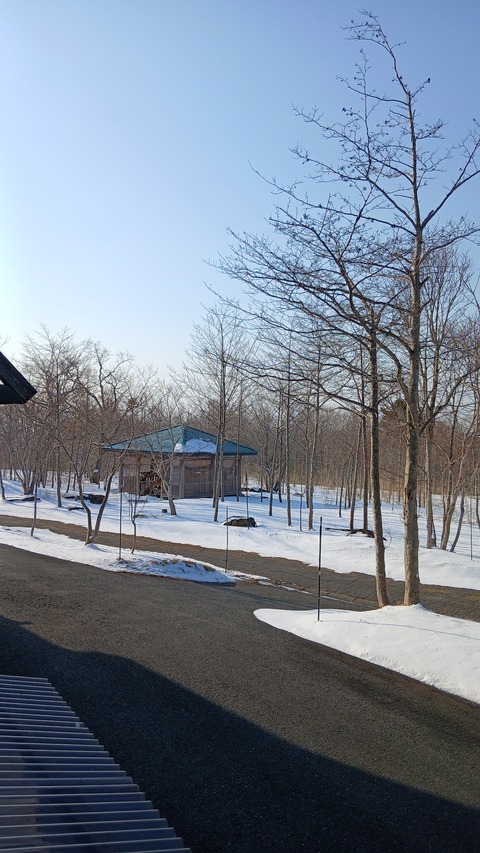 晴れて、除雪されていた道路は通行ができそう…