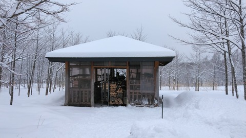 ここ数日、雪が続いて…きれいな景色に…