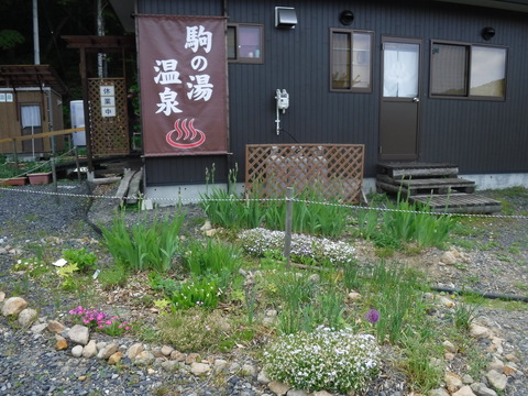 DSCF8919