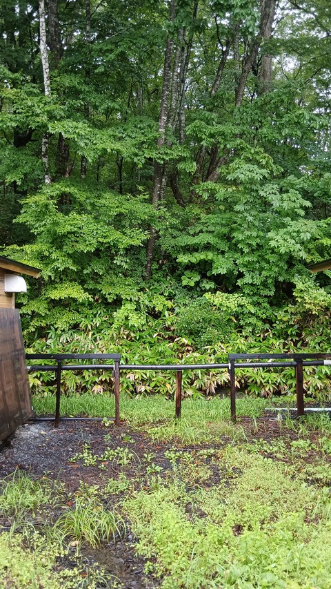 毎日、大雨が降ったり止んだり…