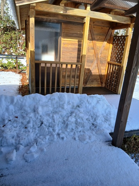 配管掃除に行ったら、イノシシがいました…