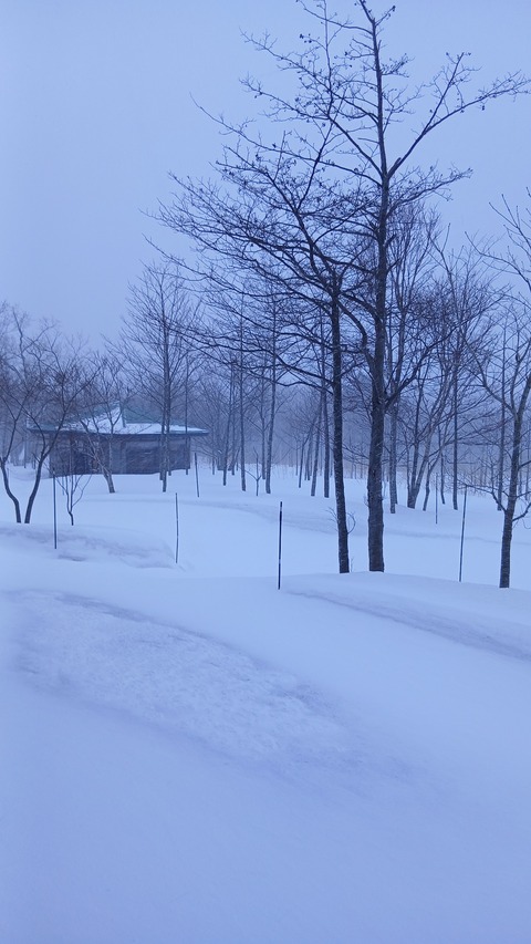 吹雪いて視界不良の時があります