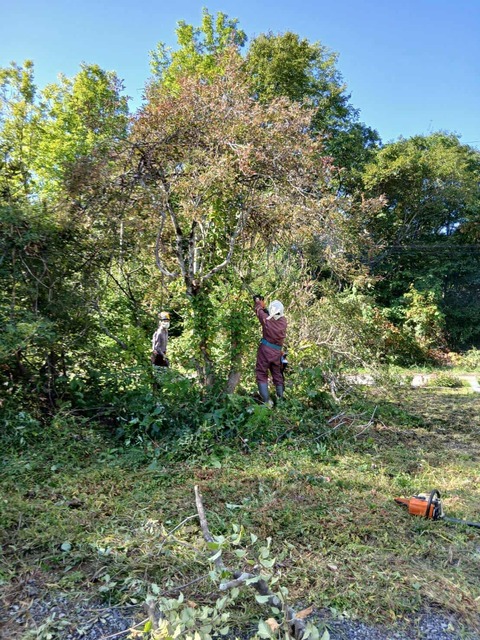 記念碑の作業の始まりは…