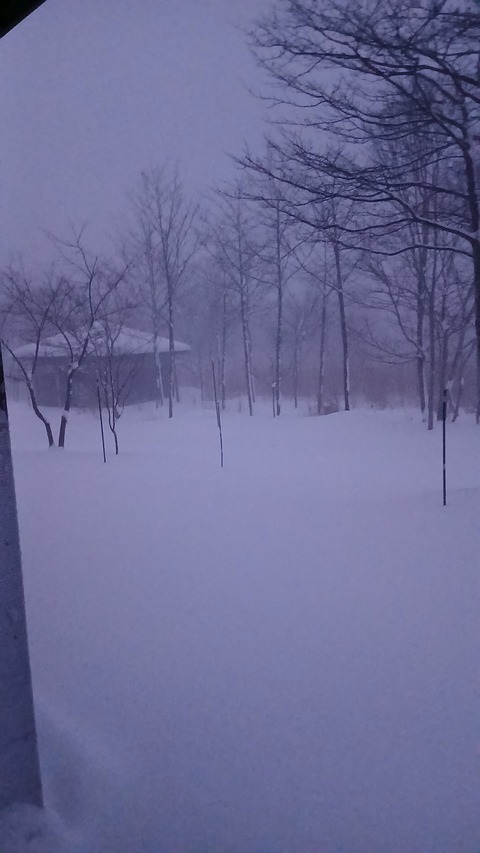 雪が降り続き、今は積雪34㎝です