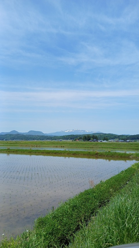 今日は山開きでした