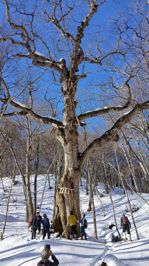 しめ縄飾りを付けに行きました