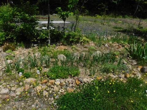 DSCF8725