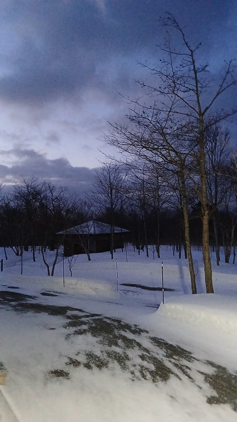 雪は少ない年ですが…