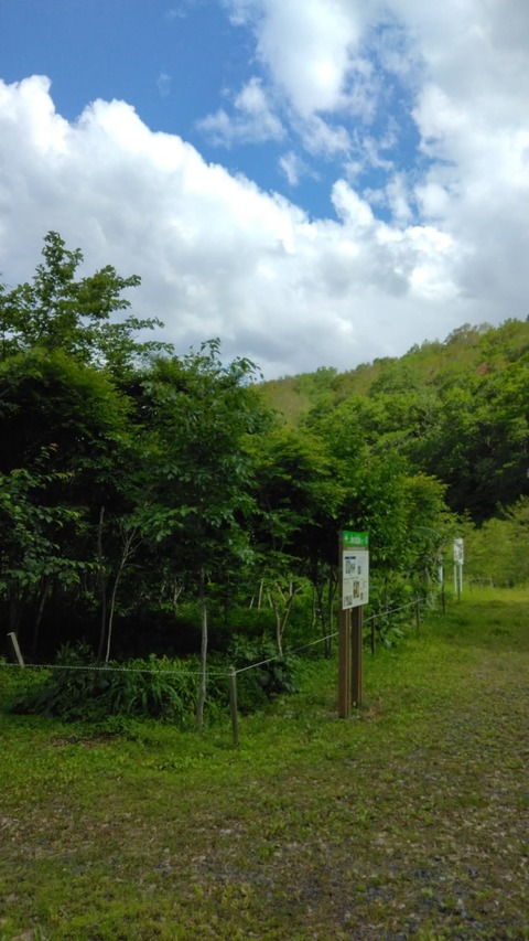先日来てくれた方がお仲間と一緒に来てくれました