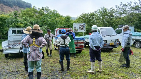 今日は自然を守る会で植樹エリアの草刈り作業でした