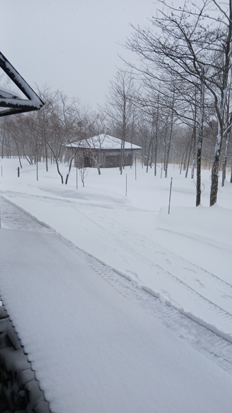 積雪量が64㎝になり、除雪しました