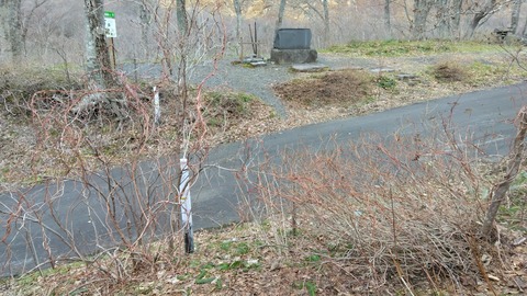 蔦切りをしました