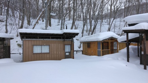 湯守は雪下ろしをしてきました