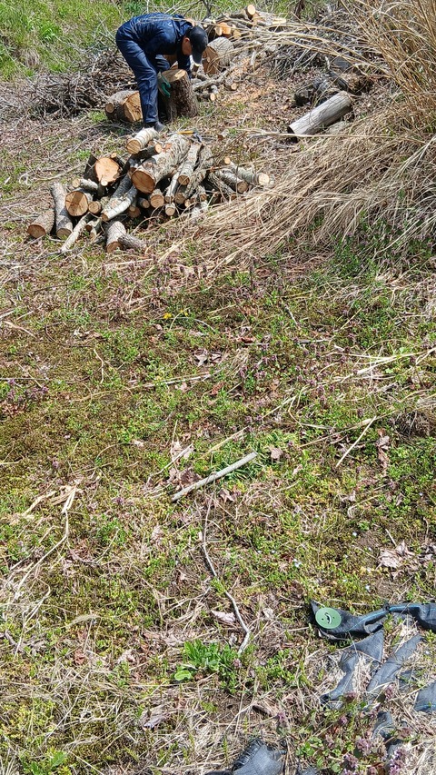 薪材をもらいました